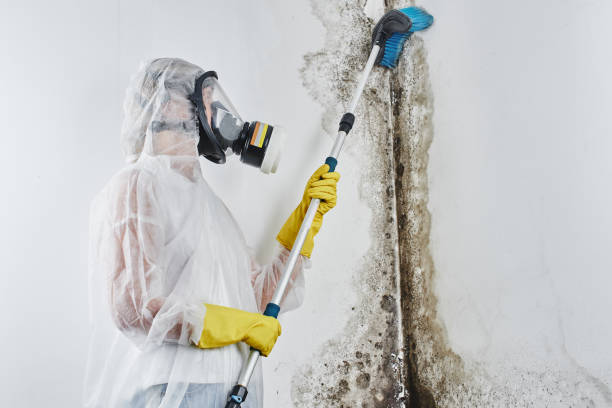 Water Damage Restoration in Roosevelt, NJ