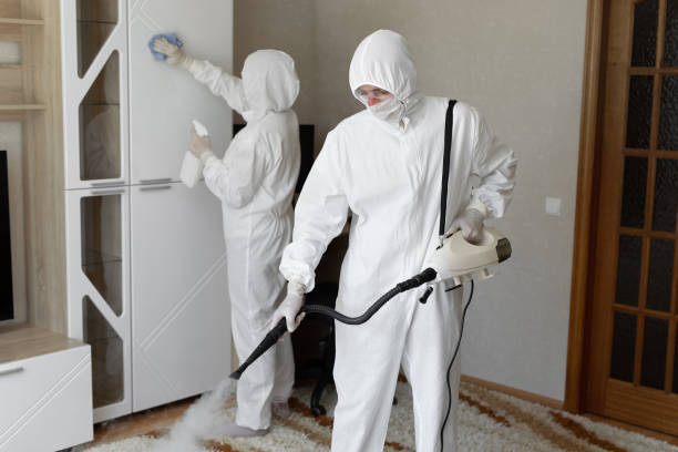 Best Mold Damage Repair  in Roosevelt, NJ