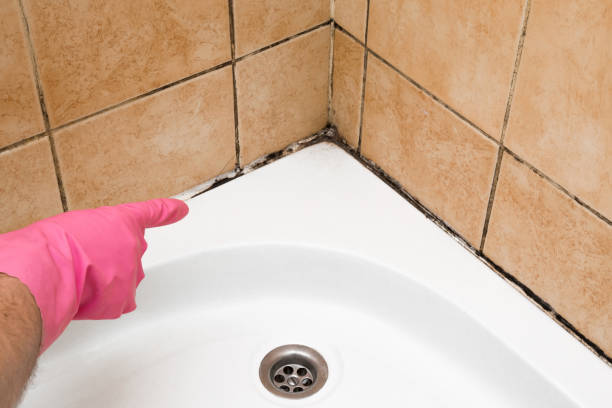 Best Mold Testing  in Roosevelt, NJ